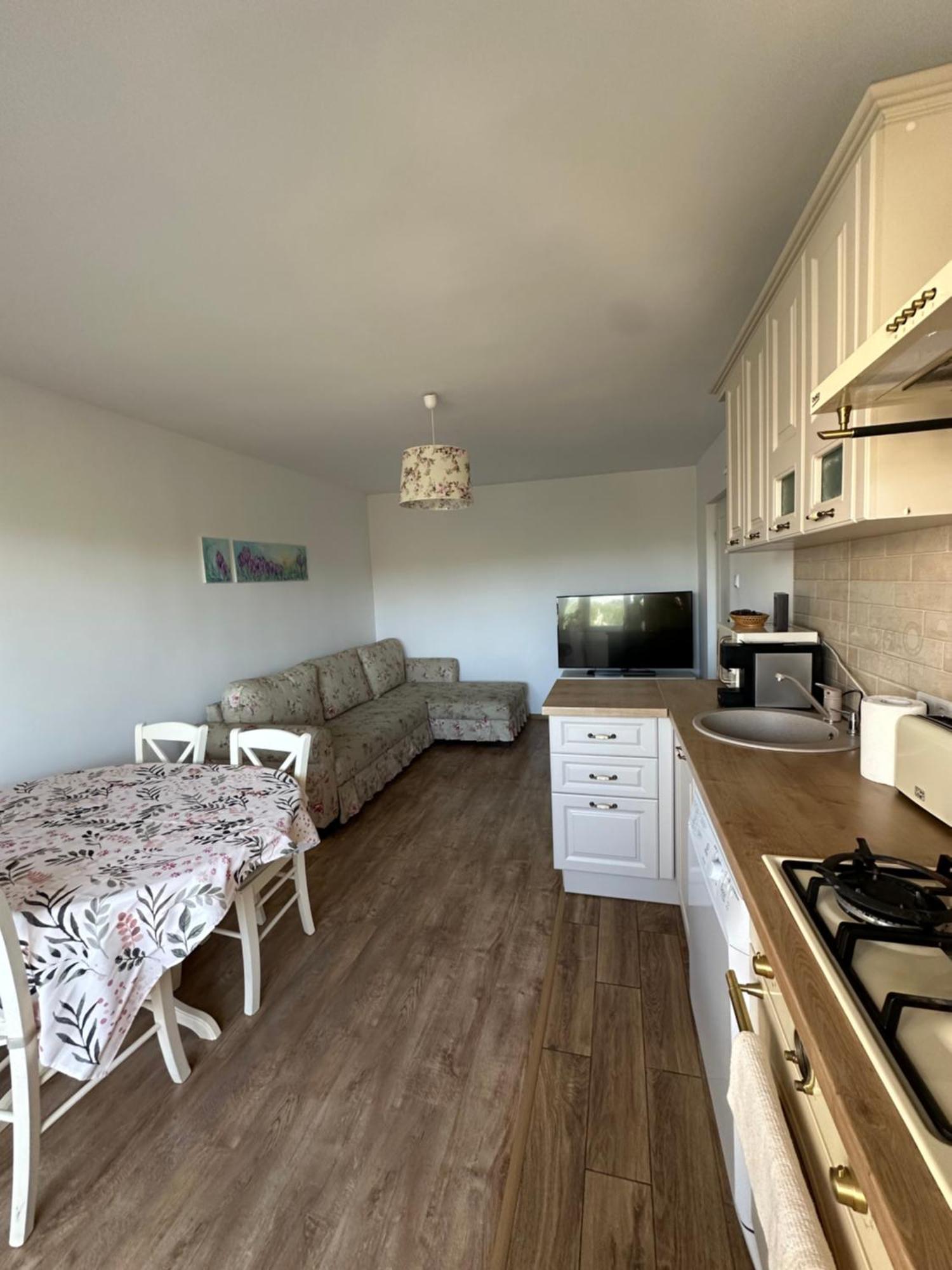 Rose Peony Apartment Cluj Napoca Bagian luar foto